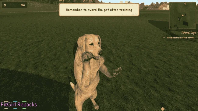 Animal Trainer Simulator Free Download